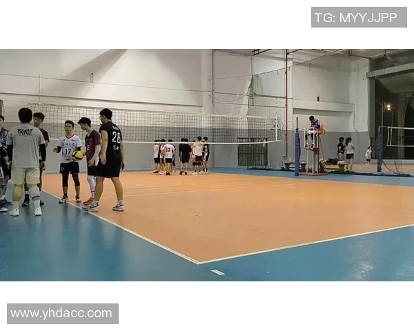 聚焦排球：探讨深圳排球队的实力与未来发展潜力