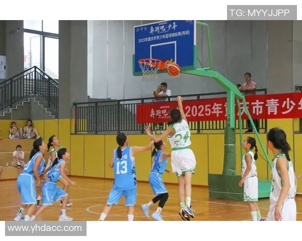 重庆篮球队在全国锦标赛中的速度优势与战术分析