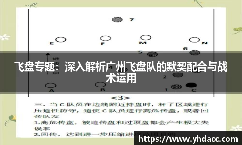 飞盘专题：深入解析广州飞盘队的默契配合与战术运用