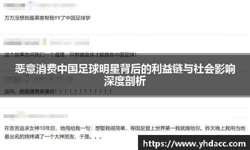 恶意消费中国足球明星背后的利益链与社会影响深度剖析